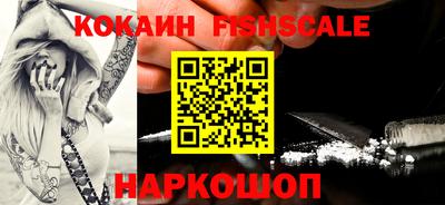 шишки Камышлов