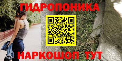 шишки Камышлов