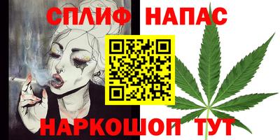 шишки Камышлов