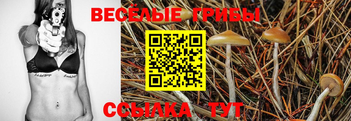 Дальнегорск  Псилоцибиновые грибы MAGIC MUSHROOMS  Вход с VPN 